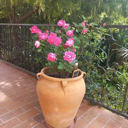 Salle De Bains Privee Jardin Arbore