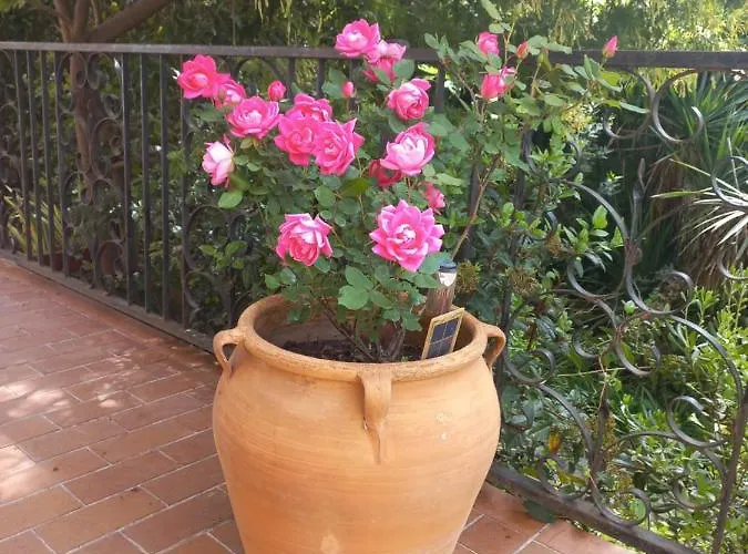 Salle De Bains Privee Jardin Arbore