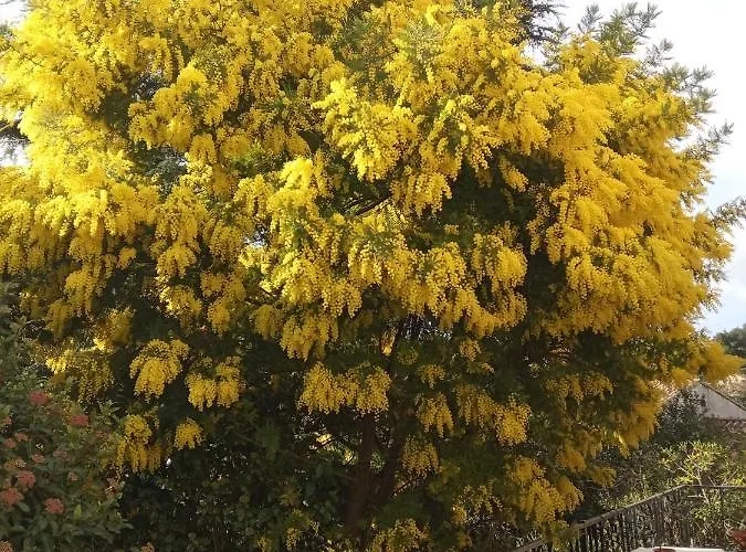 Salle De Bains Privée Jardin Arboré Apartamento Montpellier